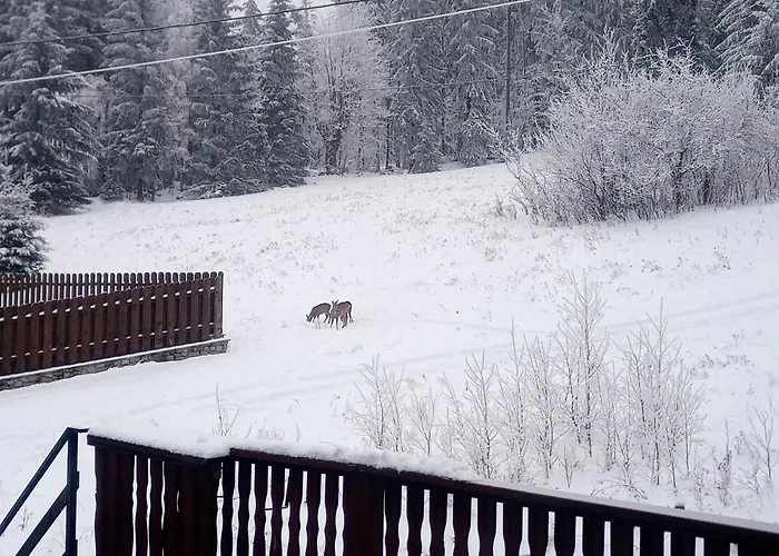 Apartament Karamba Szklarska Poręba